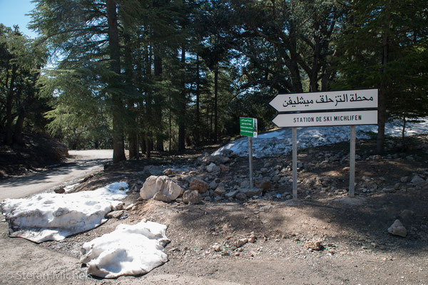 Hinauf auf 2.178 m auf den Col-du-Zad-Pass zu den kühlen Zedernwäldern des mittleren Atlas.