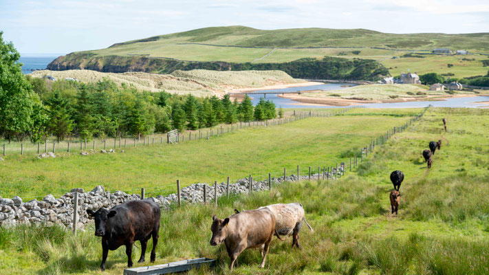 Zurück auf dem Festland Richtung Balmoral