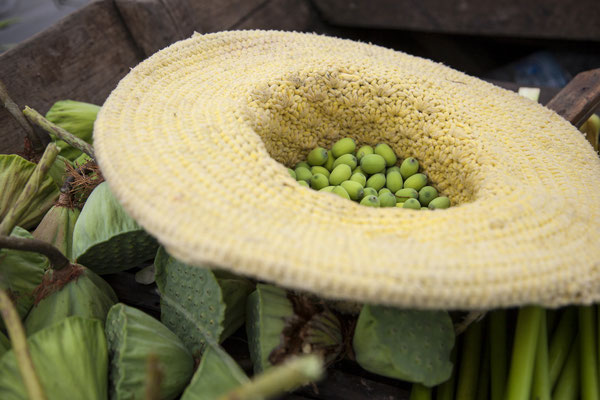 ウォーターヒヤシンス収穫へ　#Pavanasara #Water hyacinth bag