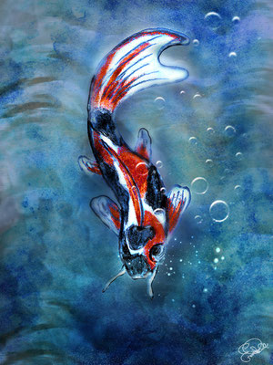Titel: Koi - Größe: 30 x 40 cm - Art: Tusche-, Aquarell- & Ölstiftzeichnung - © by Emil Pelz 2023