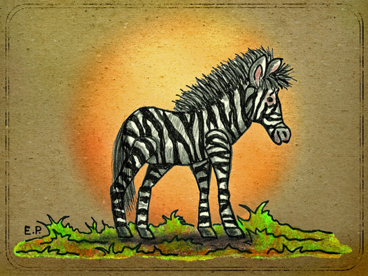 Titel: Zebra (Hippotigris) / Grußkarte - Größe: 15 x 20 cm - Art: Buntstift- & Aquarellmalerei - © by Emil Pelz 2023