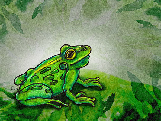 Titel: Wasserfrosch - Größe: 15 x 20 cm - Art: Buntstift- & Aquarellmalerei - © by Emil Pelz 2023