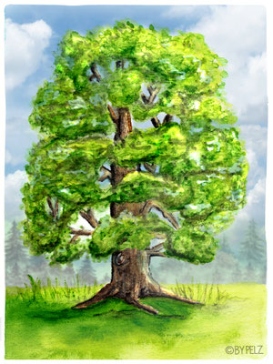 Alte Eiche, Baum, Laub, Natur, Gras, Himmel, Wolken, grün, hellblau, Zeichnung, Aquarellmalerei, Illustration, Copyright by Pelz, 2026.