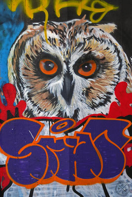 Eulengraffiti - Copyright by Pelz 2018
