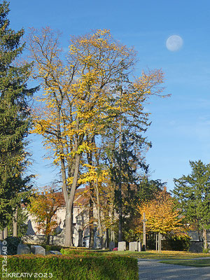 Exponattitel: Schöne Herbststimmungen 7/15 / Am Friedhofstor zeigt sich der Mond - Exponatgröße: 30 x 40 cm - Art: fineART - © by Pelz Kreativ 2023