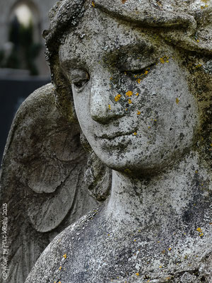 Exponattitel: Friedhofskulpturen 5 -  Exponatgröße: 15 x 20 cm - Art: fineArt - © by Pelz Kreativ 2023