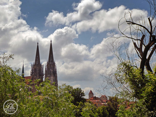 Exponattitel: Sommerspaziergang an der Donau / Regensburg Nr. 4 - Über den Baumwipfeln von Regensburg - © by Pelz Kreativ 2019