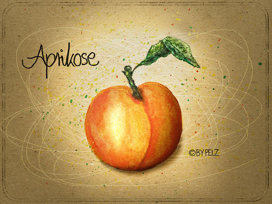 Aprikosel, orange, grün, gelb, Zeichnung, Illustration, Copyright by Pelz, 2026.