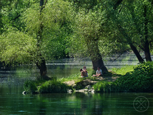 Bildtitel: Maigrün, an der Donau Regensburg -  15 x 20 - © by Emil Pelz - 26. Mai 2017