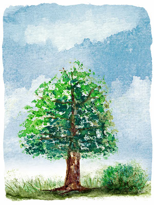 Titel: Ein Feld voller Alter Baum - Größe: 30 x 40 cm - Art: Aquarellmalerei - © Emil Pelz 2023 