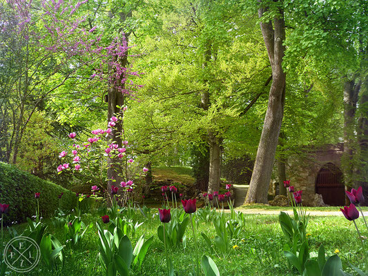 Impression: Herzogspark Nr. 1 - Copyright by Pelz 2018