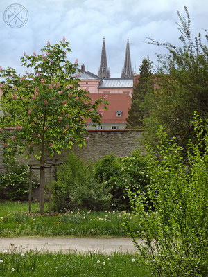 Blick zum Dom St. Peter / Regensburg - Copyright by Pelz 2018