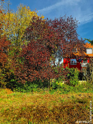 Exponattitel: Schöne Herbststimmungen 12/15 / Ein Bullerbü-Idylle - Exponatgröße: 30 x 40 cm - Art: fineART - © by Pelz Kreativ 2023