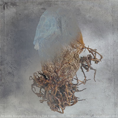 Exponattitel: X-Organics 4/4 - Exponatgröße: 30 x 30 cm - Art: fineART - © by Pelz Kreativ 202