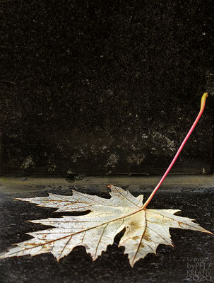 Exponattitel: Gefallen - © by Pelz Kreativ 2020