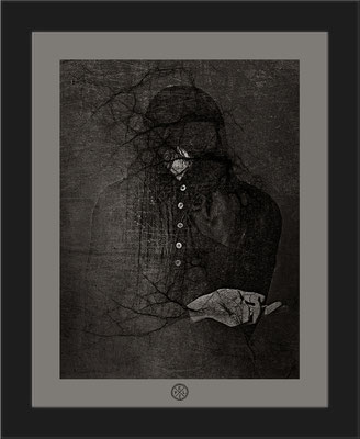 When the Raven come to the Earth / Wenn der Rabe auf die Erde kommt - © by Pelz 2018