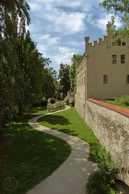 Bildserie: Sommer Schönheiten / Regenburg / Nr. 9 - Copyright by Pelz 2018
