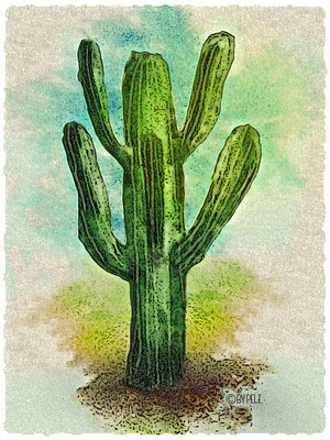 Wüstenkaktus, Mexiko, Natur, Pflanzen, Wüste, Sand, Himmel, Zeichnung, digiART, Illustration, Copyright by Pelz, 2026.