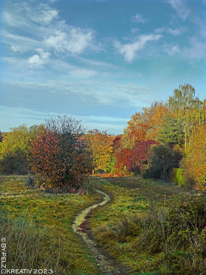 Exponattitel: Schöne Herbststimmungen 10/15 / Kleiner Trampelpfad - Exponatgröße: 30 x 40 cm - Art: fineART - © by Pelz Kreativ 2023