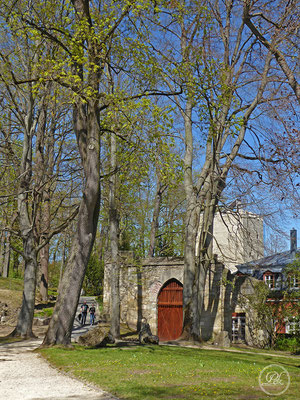 Frühlingsimpressionen 1-12 / Bild 4 / Am Pulverturm im Herzogpark - © by Pelz Kreativ 2019