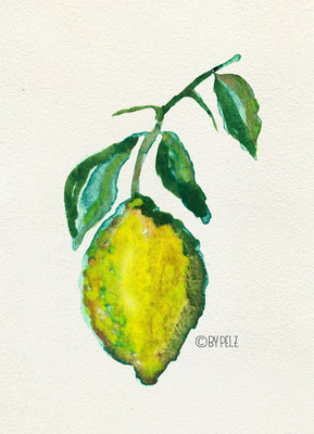 Zitrone, Zeichnung, Aquarellmalerei, Illustration, Copyright by Pelz, 2026.