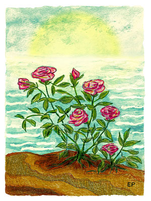 Titel: Rostenstrauch am Meer - Größe: 30 x 40 cm - Art: Aquarell- & Ölstiftzeichnung - © by Emil Pelz 2023