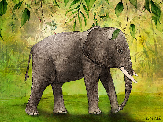 Indischer Elefant, Blätter, Pflanzen, Natur, digiART, Zeichnung, Malerei, Aquarell, Copyright by Pelz, 2026.