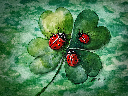 Marienkäfer, Trio, Glücksklee, Zeichnung, Malerei, Aquarell, Farbstifte, Copyright by Pelz, 2026.