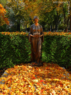 Exponattitel: Autumnal Cemetery No. III / No. 10 - Exponatgrößen: 15 x 20 - Art: fineART - © by Pelz Kreativ 2019