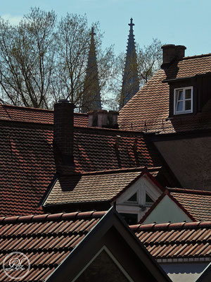 Frühlingsszenarien 1-17 / Dächer der Regensburger Altstadt - Bild 5 - © by Pelz Kreativ 2019