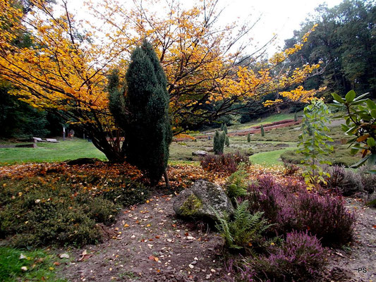 deutsch-franzoesicher-garten, saarbruecken