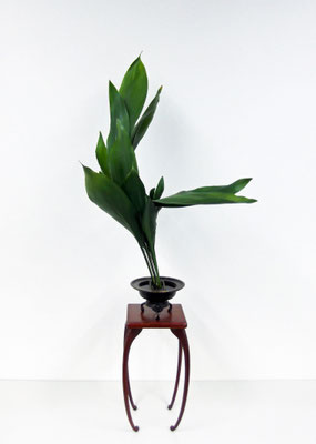 伝統の生花 - 華道 「遠州流」 美濃 ホームページ 伝統の生花 - 華道 「遠州流」 美濃 ホームページ