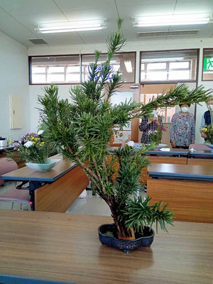 瑞穂分社　合同稽古の会　巣南公民館