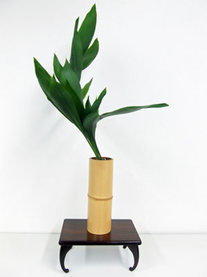 伝統の生花 - 華道 「遠州流」 美濃 ホームページ 伝統の生花 - 華道 「遠州流」 美濃 ホームページ