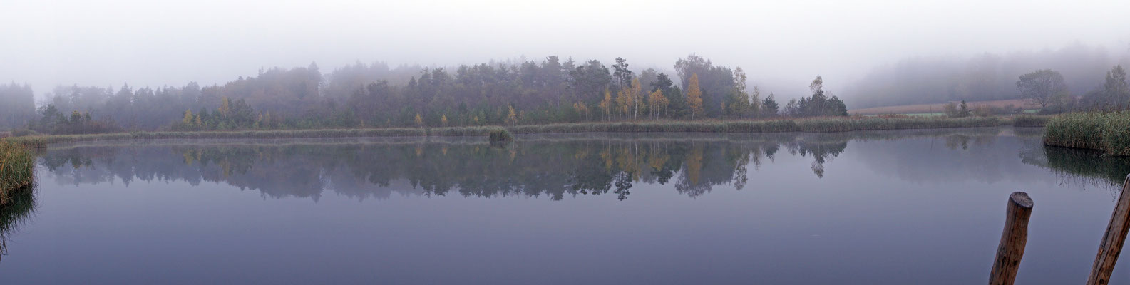Herbst am Barchetsee · Neunforn TG