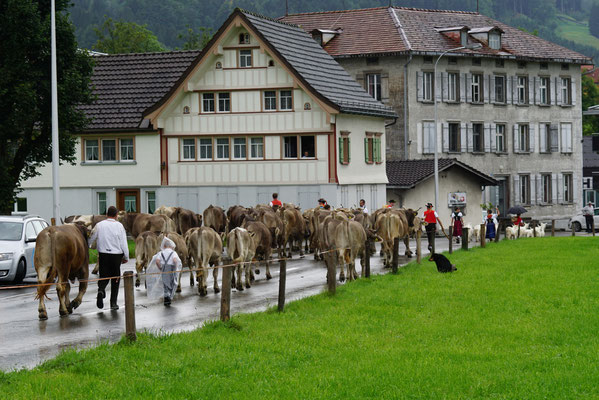 Die ersten Häuser von Appenzell sind erreicht