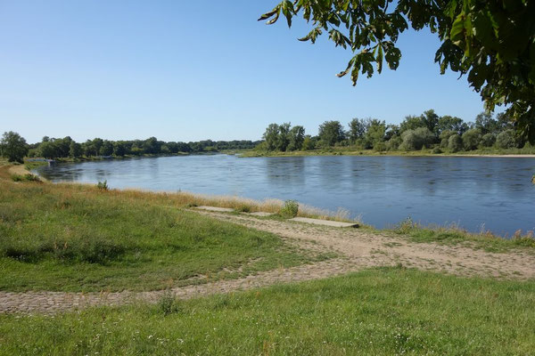 die Elbe
