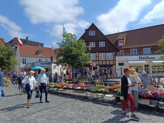 Schiffbrückenplatz