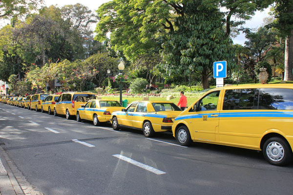 Einer von unzähligen Taxi-Ständen in Funchal