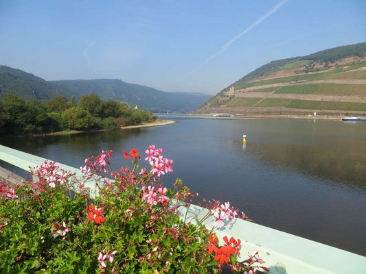 Auf der Brücke über der Nahe