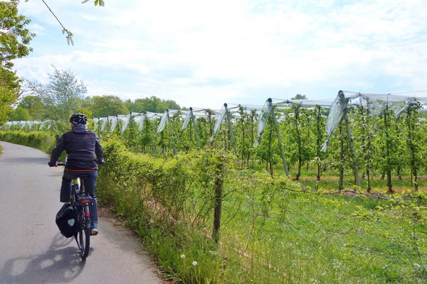Tour durch die Apfelfelder