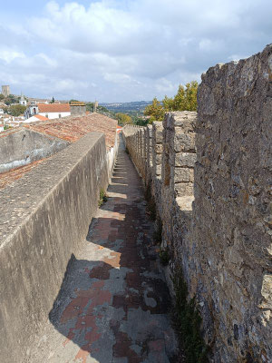 Auf der Stadtmauer