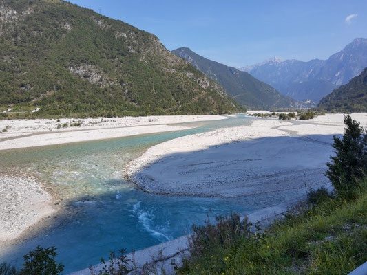 Tagliomenta