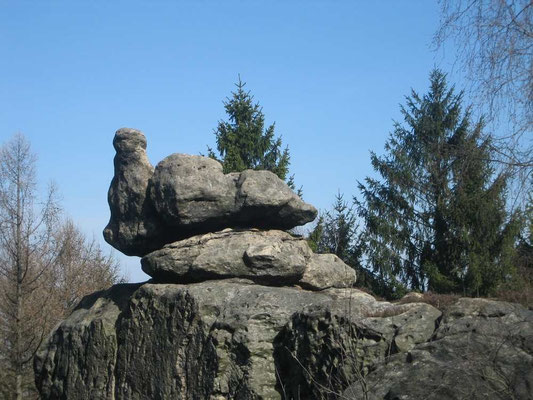 Brütende Henne