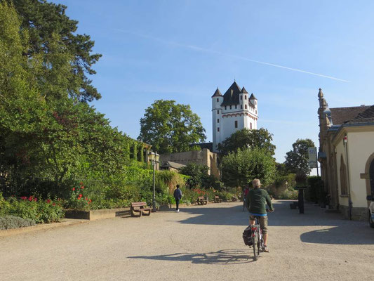 Eltville
