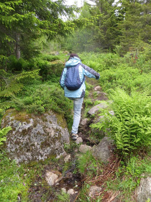 Wanderung ab Digermulen