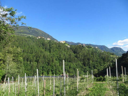 Blick von Riffian zurück nach Schenna