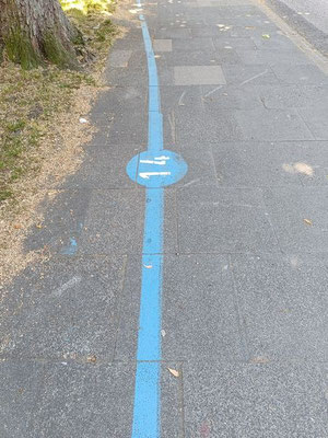 Das blaue Band....