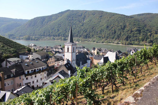 Schöner Blick zurück auf Assmannshausen