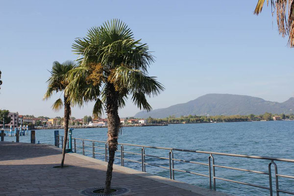 Iseo Palmenpromenade